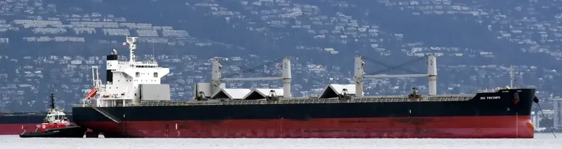 SSI TRIUMPH Bulk Carrier IMO 9713947 photo 9