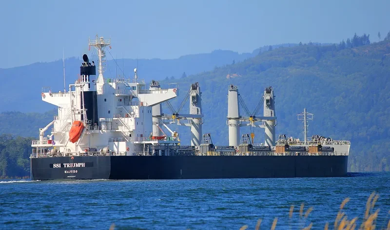 SSI TRIUMPH Bulk Carrier IMO 9713947 photo 10