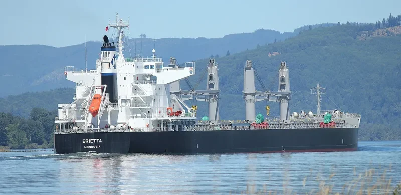 ERIETTA Bulk Carrier IMO 9713959 photo 3