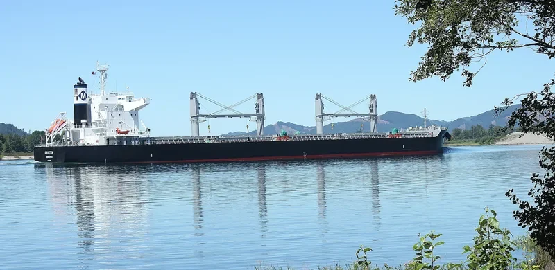 ERIETTA Bulk Carrier IMO 9713959 photo 4