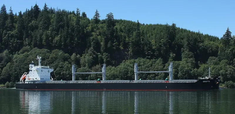 ERIETTA Bulk Carrier IMO 9713959 photo 5