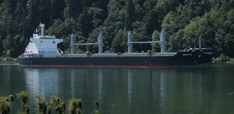 ERIETTA Bulk Carrier IMO 9713959 photo 6