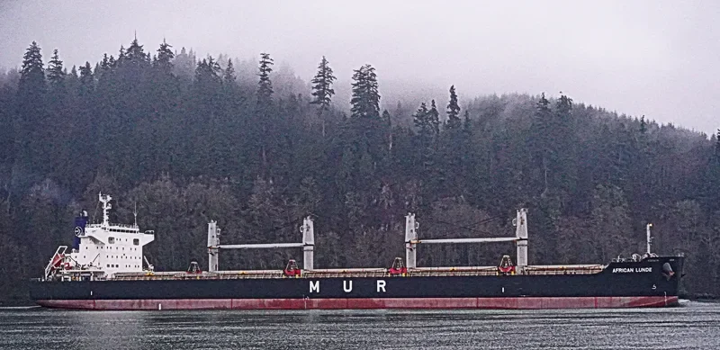 AFRICAN LUNDE Bulk Carrier IMO 9713961 photo 8