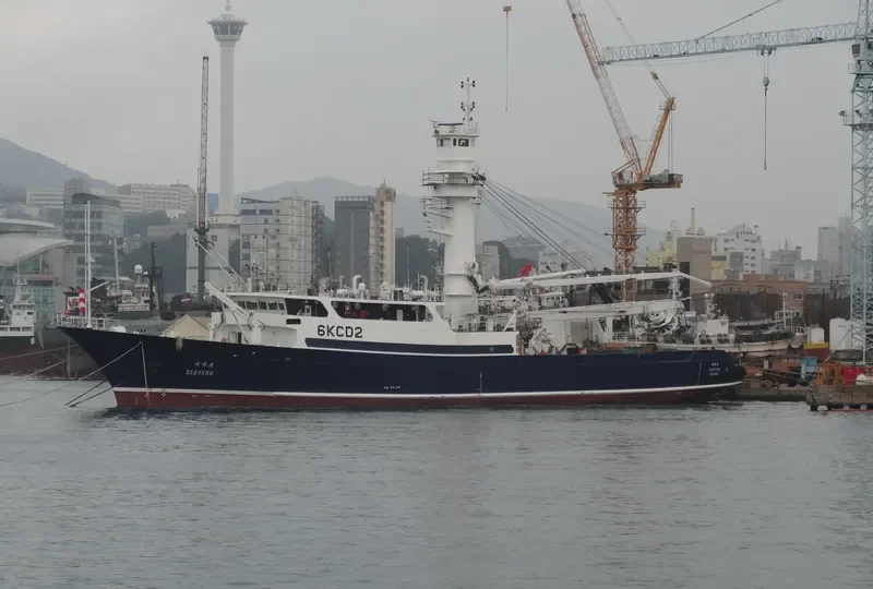 SEGYERO General Cargo IMO 9713973