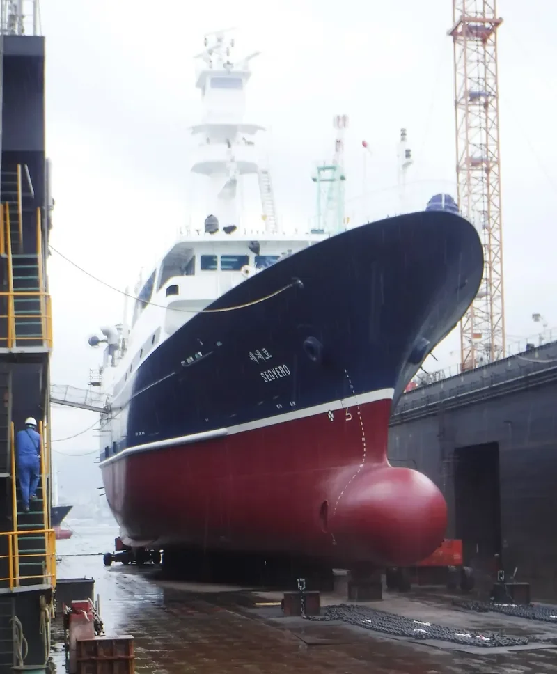 SEGYERO General Cargo IMO 9713973 photo 2