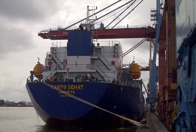 TANTO SEHAT Container Ship IMO 9714197 photo 5
