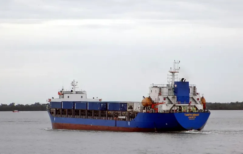 TANTO SEHAT Container Ship IMO 9714197 photo 6