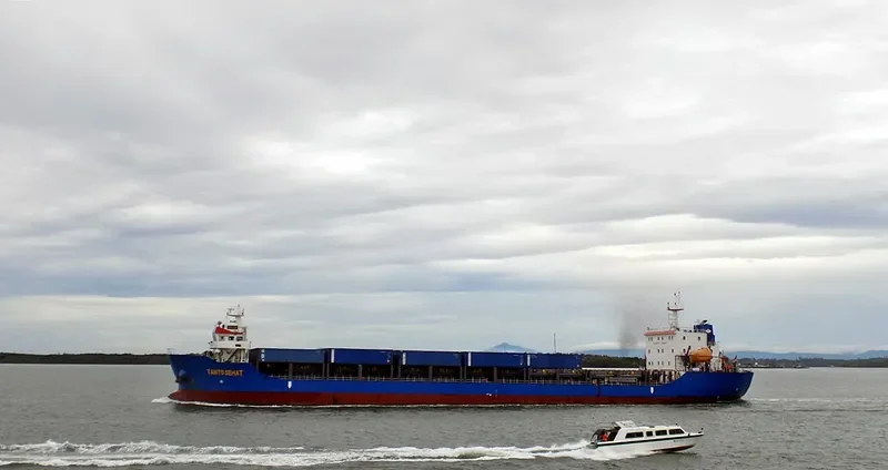 TANTO SEHAT Container Ship IMO 9714197 photo 8