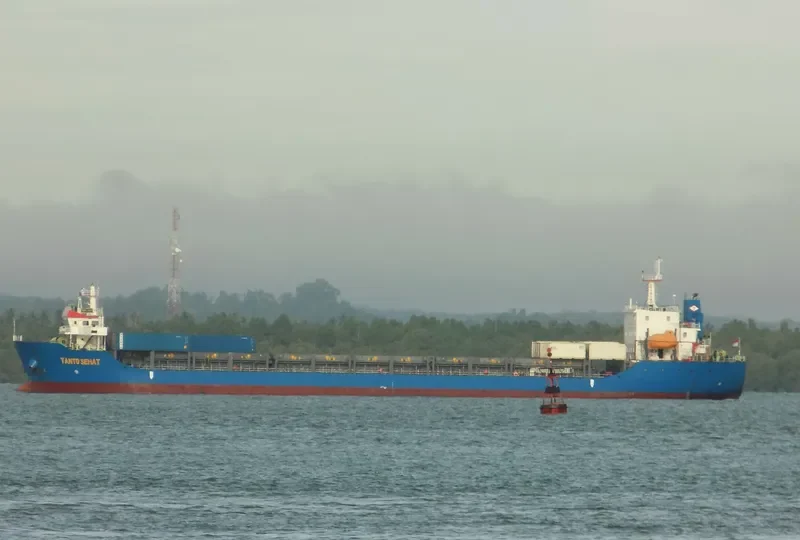 TANTO SEHAT Container Ship IMO 9714197 photo 9