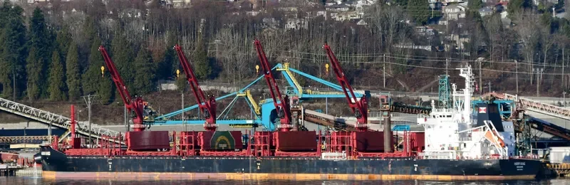 HANYANG Bulk Carrier IMO 9714226