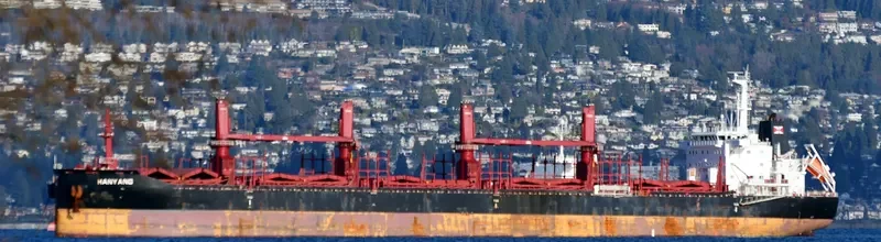 HANYANG Bulk Carrier IMO 9714226 photo 3