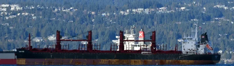 HANYANG Bulk Carrier IMO 9714226 photo 4