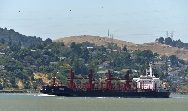 HOIHOW Bulk Carrier IMO 9714238 photo 3