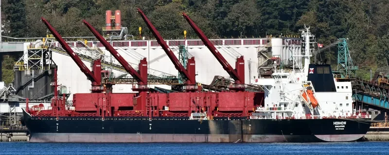 HOIHOW Bulk Carrier IMO 9714238 photo 10