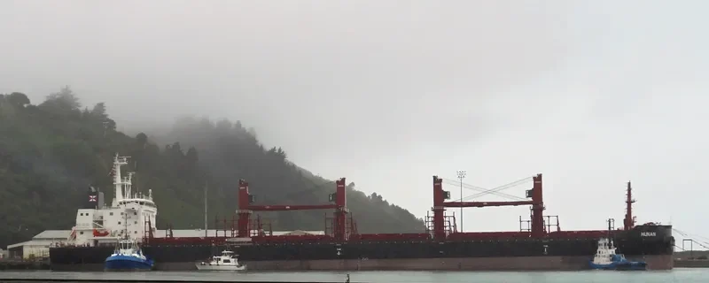 HUNAN Bulk Carrier IMO 9714252 photo 4