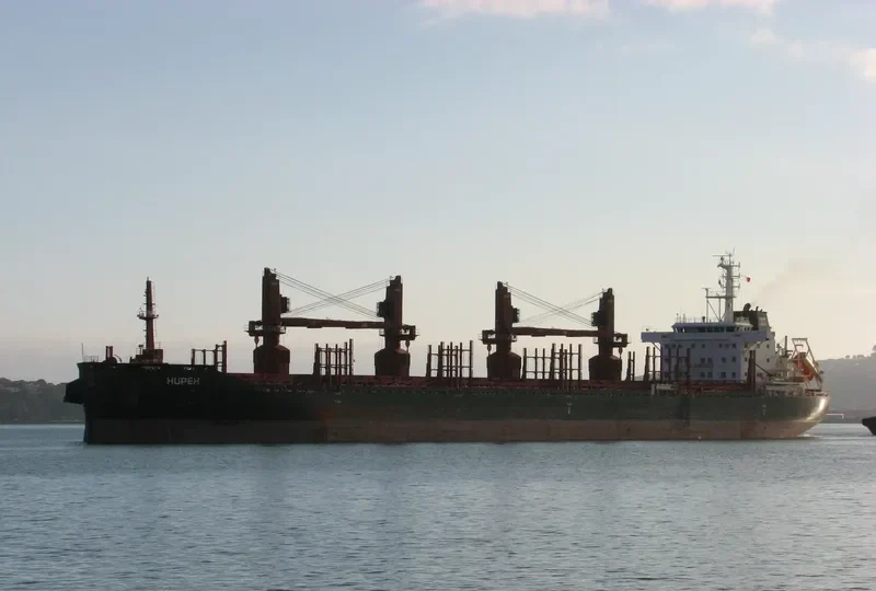 HUPEH Bulk Carrier IMO 9714264 photo 2