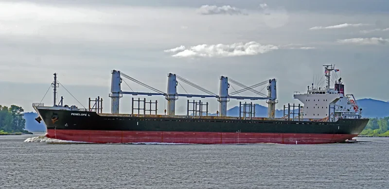 PENELOPE L Bulk Carrier IMO 9714343 photo 6