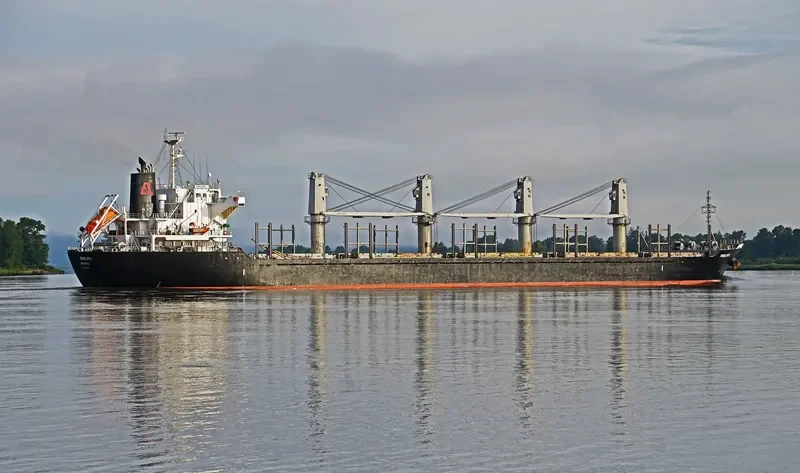 PENELOPE L Bulk Carrier IMO 9714343 photo 7