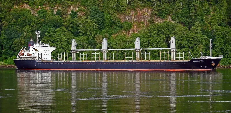 PENELOPE L Bulk Carrier IMO 9714343 photo 8