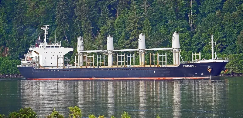 PENELOPE L Bulk Carrier IMO 9714343 photo 9