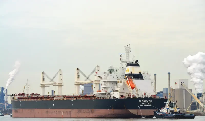 FLORENTIA Bulk Carrier IMO 9714666 photo 10