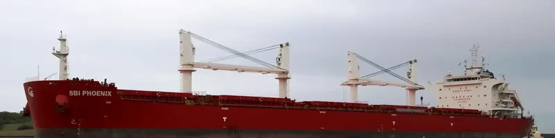 NAVIGARE BEATUS Bulk Carrier IMO 9714680