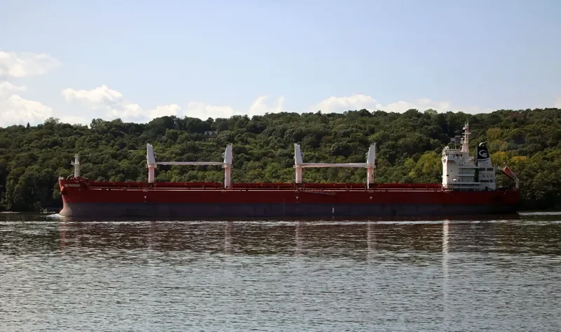 NAVIGARE BEATUS Bulk Carrier IMO 9714680 photo 2
