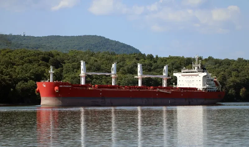 NAVIGARE BEATUS Bulk Carrier IMO 9714680 photo 3