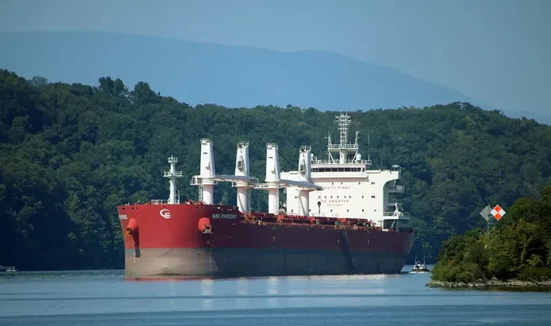 NAVIGARE BEATUS Bulk Carrier IMO 9714680 photo 4