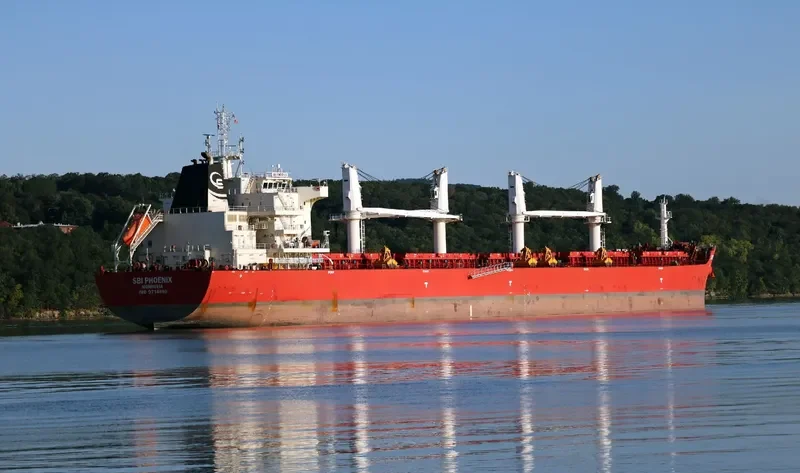 NAVIGARE BEATUS Bulk Carrier IMO 9714680 photo 5