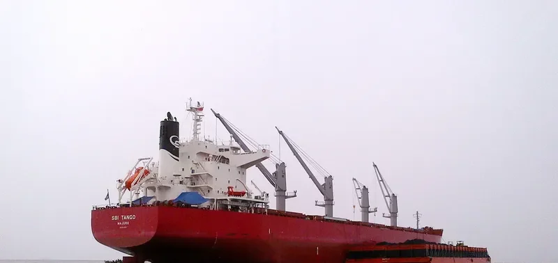 SBI TANGO Bulk Carrier IMO 9714707 photo 2