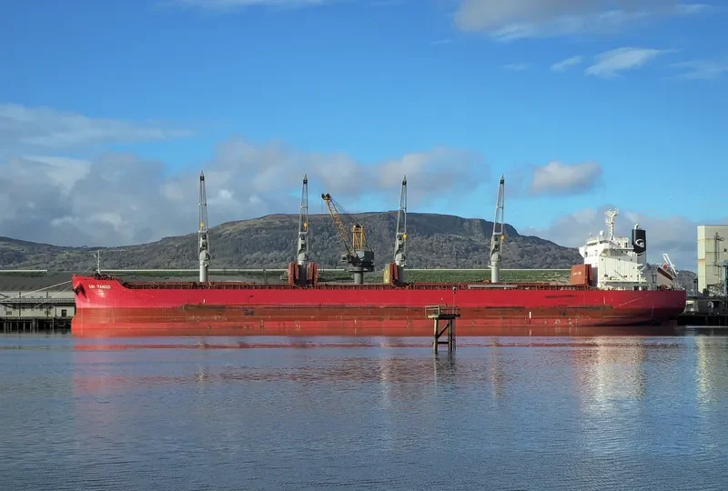 SBI TANGO Bulk Carrier IMO 9714707 photo 6