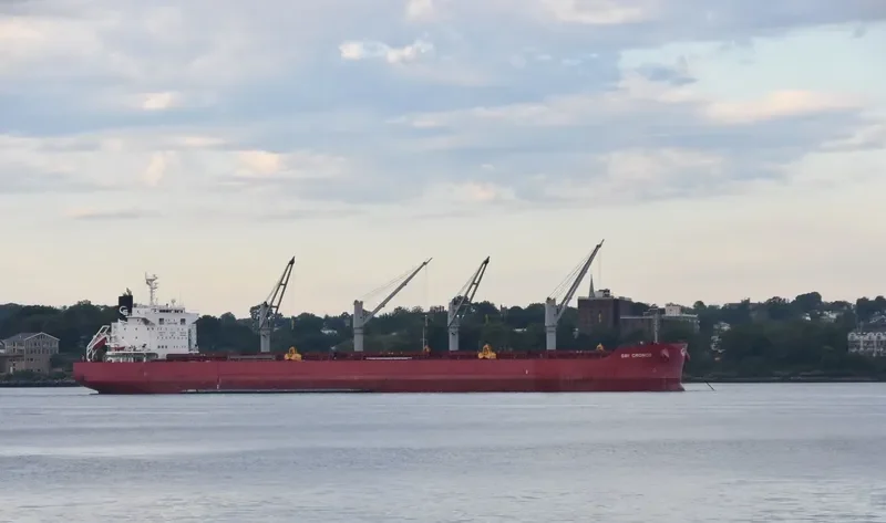 SBI CRONOS Bulk Carrier IMO 9714719 photo 2