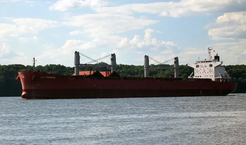 SBI CRONOS Bulk Carrier IMO 9714719 photo 4
