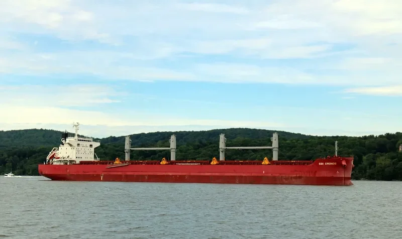 SBI CRONOS Bulk Carrier IMO 9714719 photo 7