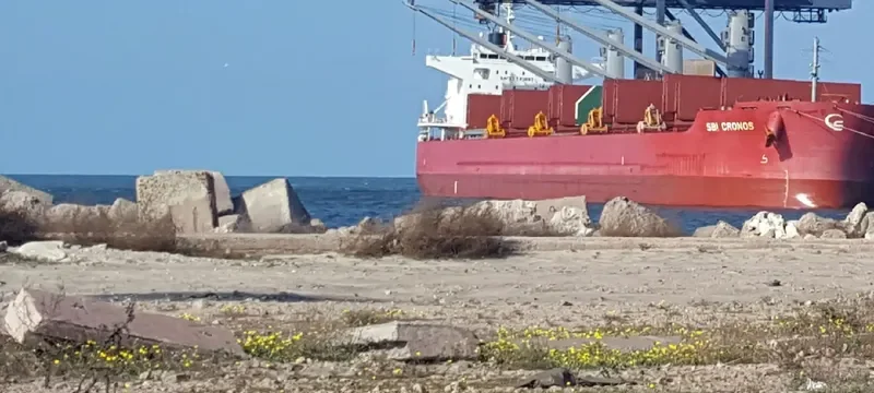 SBI CRONOS Bulk Carrier IMO 9714719 photo 8
