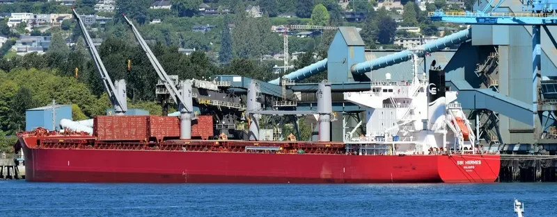 S HERMES Bulk Carrier IMO 9714721 photo 2