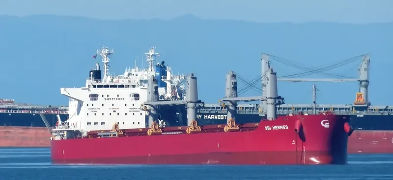 S HERMES Bulk Carrier IMO 9714721 photo 3