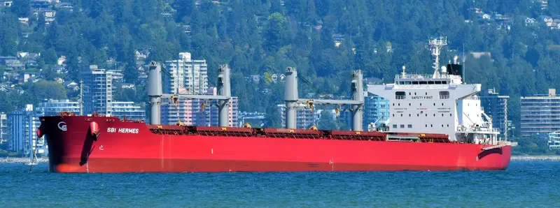S HERMES Bulk Carrier IMO 9714721 photo 4