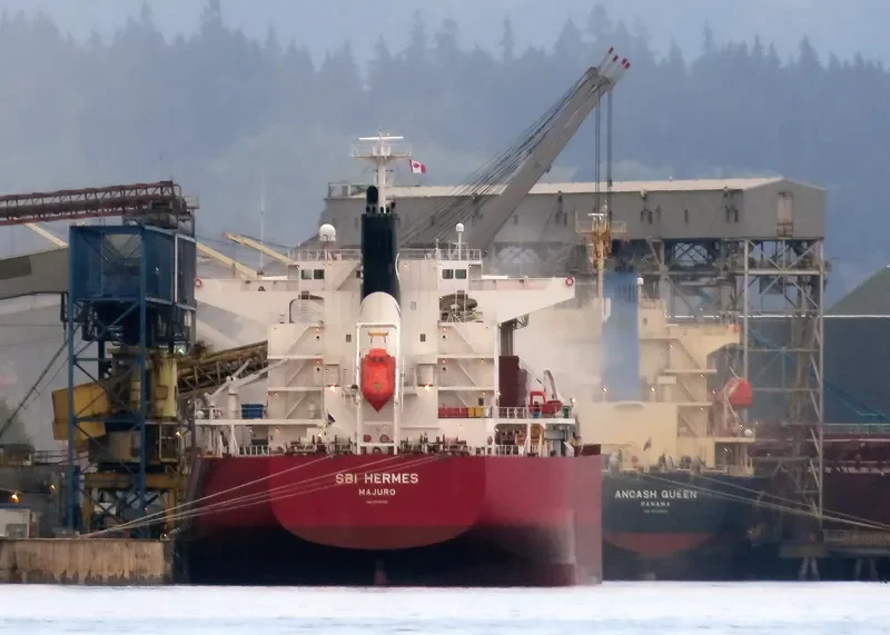 S HERMES Bulk Carrier IMO 9714721 photo 7