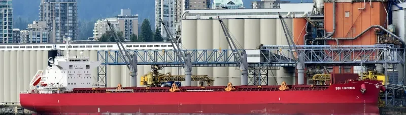 S HERMES Bulk Carrier IMO 9714721 photo 8