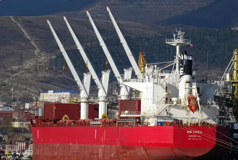 YAYA GOOSE Bulk Carrier IMO 9714745