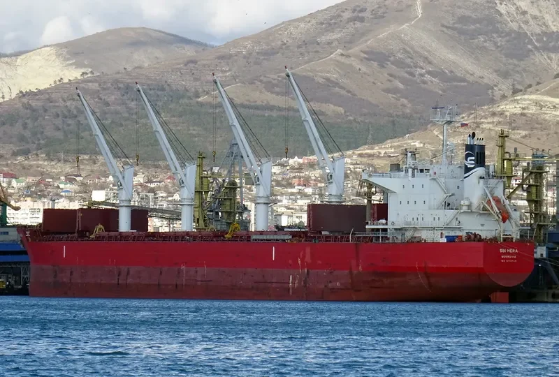 YAYA GOOSE Bulk Carrier IMO 9714745 photo 2