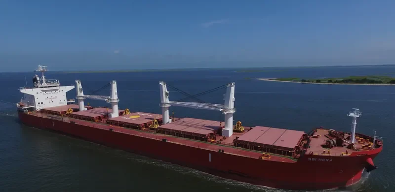 YAYA GOOSE Bulk Carrier IMO 9714745 photo 3