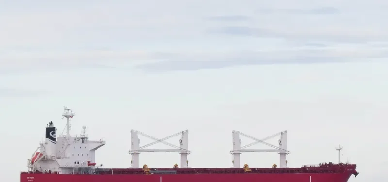 YAYA GOOSE Bulk Carrier IMO 9714745 photo 4