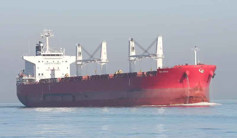 YAYA GOOSE Bulk Carrier IMO 9714745 photo 5