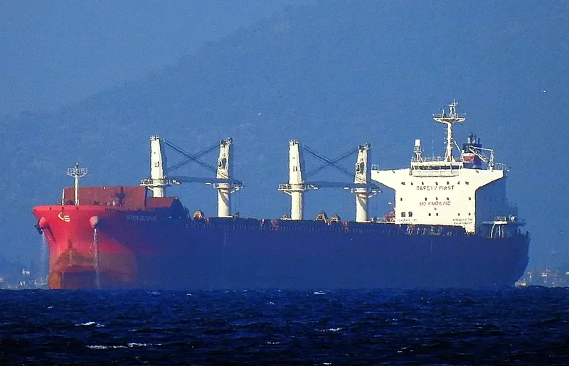 YAYA GOOSE Bulk Carrier IMO 9714745 photo 6