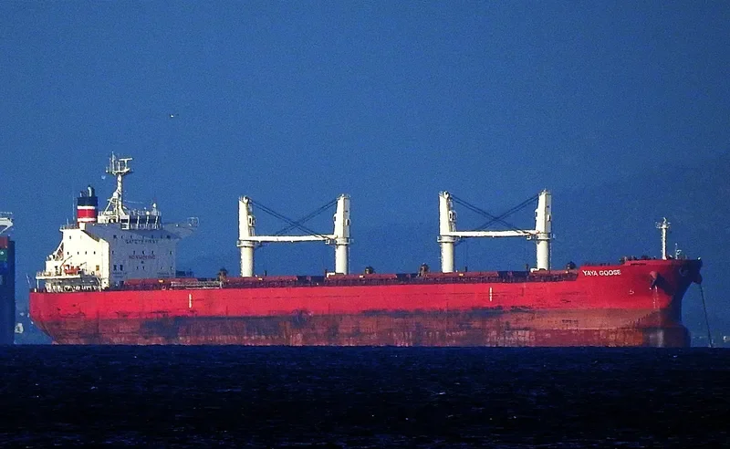 YAYA GOOSE Bulk Carrier IMO 9714745 photo 7
