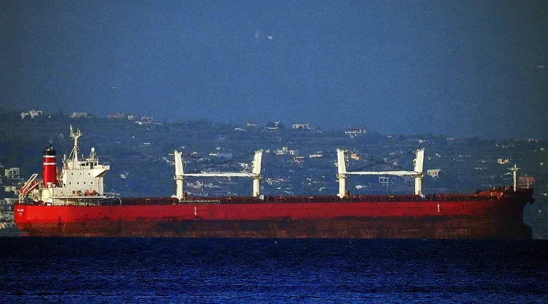 YAYA GOOSE Bulk Carrier IMO 9714745 photo 8