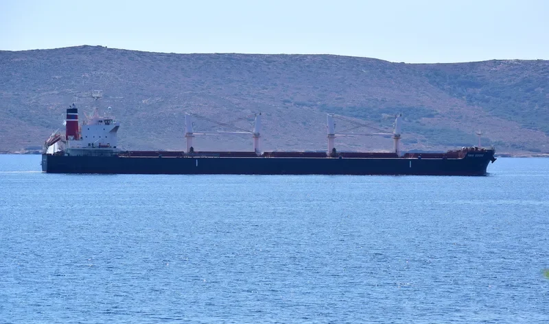 YAYA GOOSE Bulk Carrier IMO 9714745 photo 9